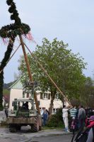 2016-04-30 Maibaum stellen 020 (DSC_0283)